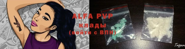 индика Алексин