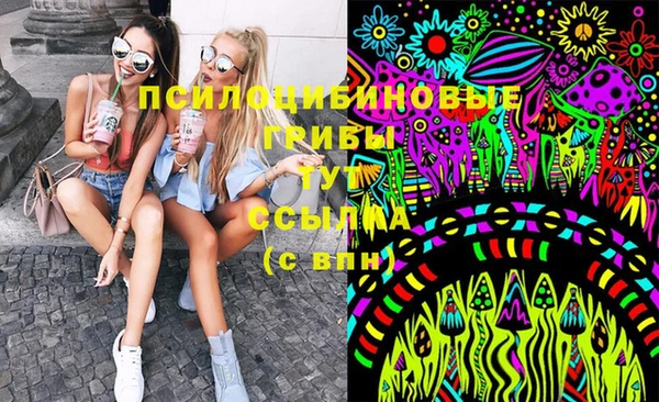 индика Алексин