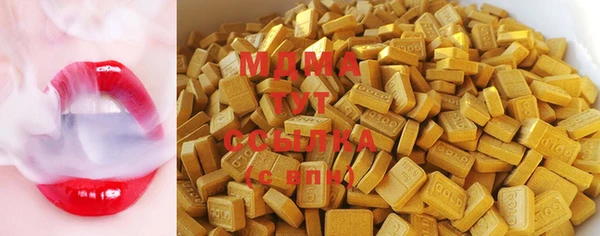 индика Алексин