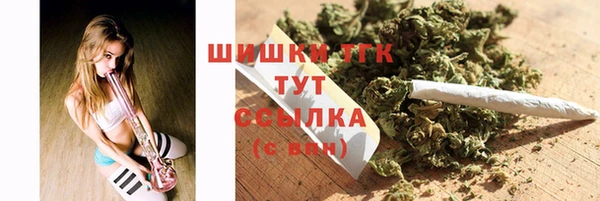 индика Алексин