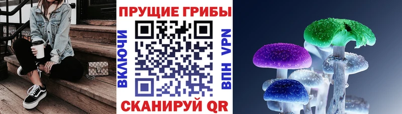 Псилоцибиновые грибы Cubensis МЕГА Павловская